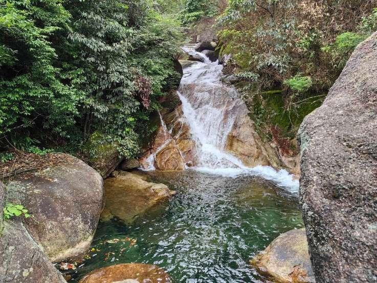 失忆的流浪者